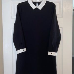 Black dress worn white collar and cuffs